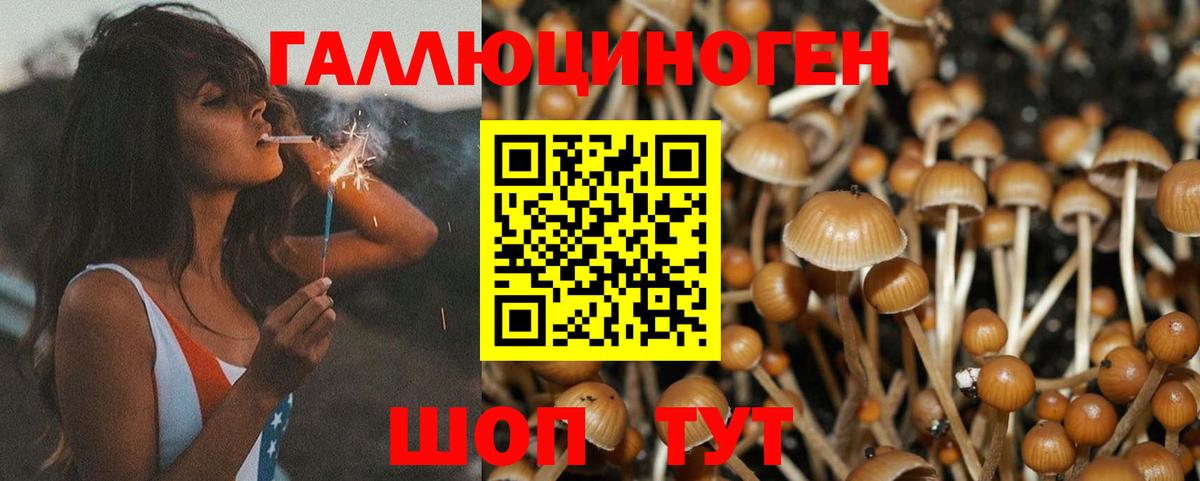 Галлюциногенные грибы GOLDEN TEACHER  закладка  Кстово  Вход с VPN  Псилоцибиновые грибы мухоморы 